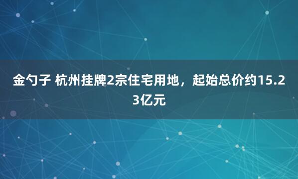金勺子 杭州掛牌2宗住宅用地，起始總價約15.23億元